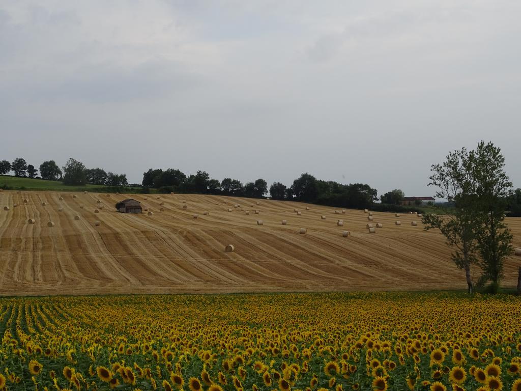 La Maison des Cornières Fourcès Extérieur photo